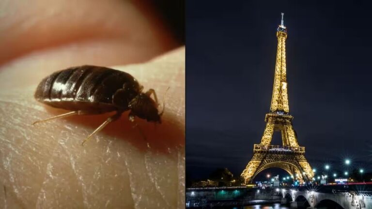 Paris France Bedbugs: Navigating the City of Lights Amid an Unseen Challenge